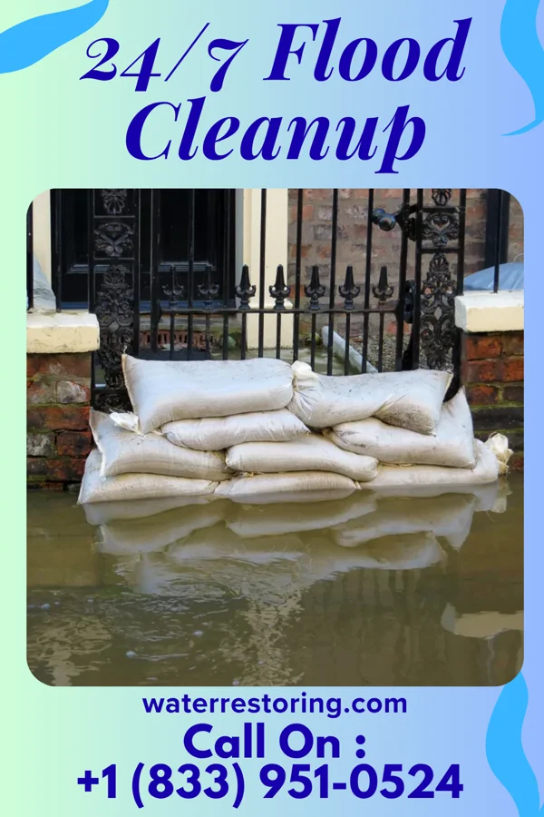 24/7 Flood Cleanup in East Chicago, IN