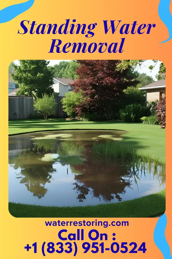 Standing Water Removal in East Chicago, IN